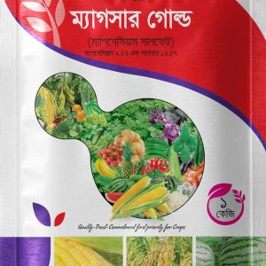 ম্যাগসার গোল্ড