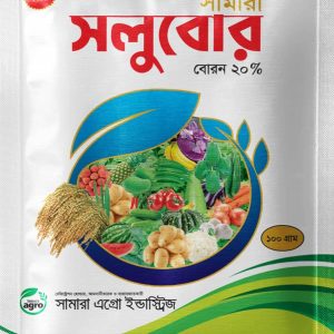 সলুবোর