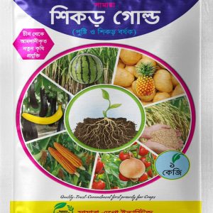 শিকর গোল্ড